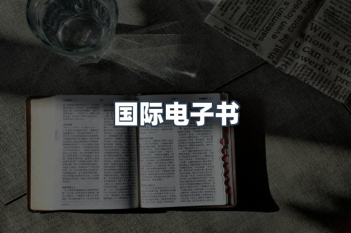 国际电子书